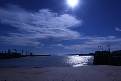 DSC_0806 (Large).JPG